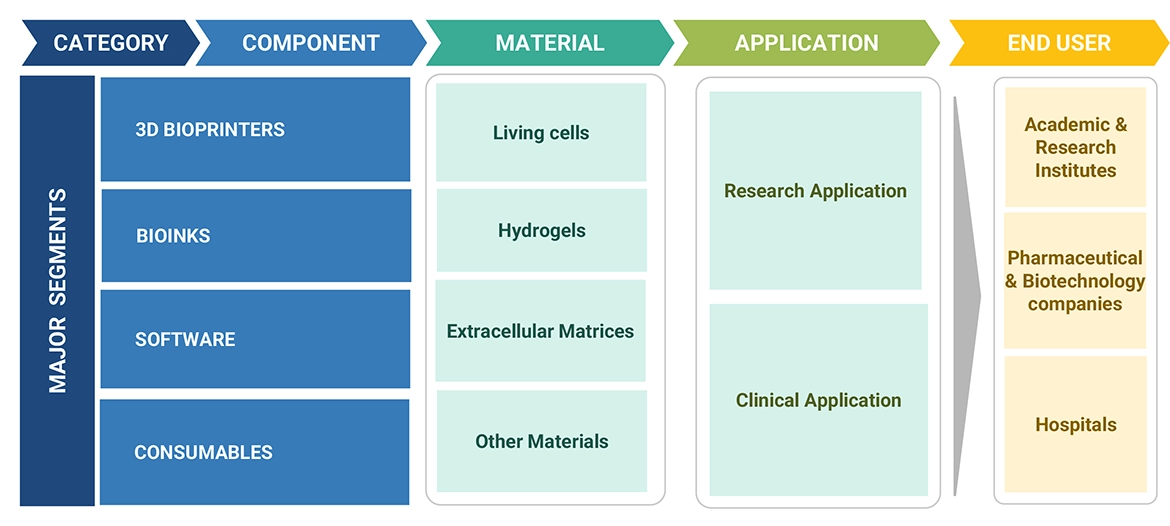 3D Bioprinting Market Ecosystem