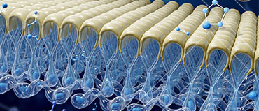 Medical Membranes Market