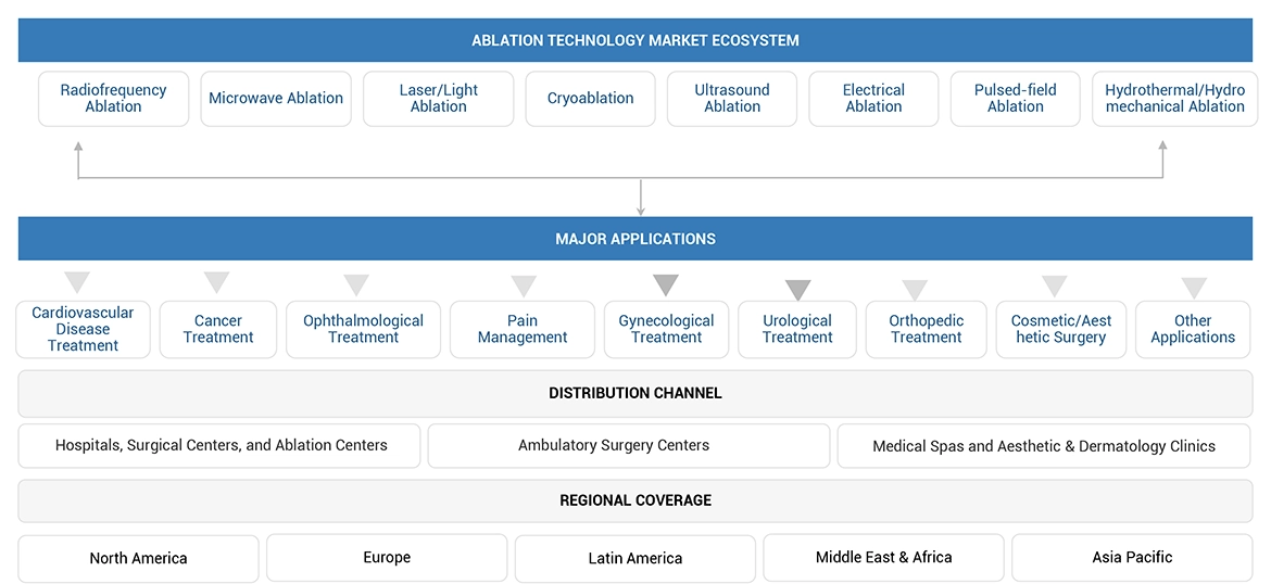 Ablation Technology Market Ecosystem