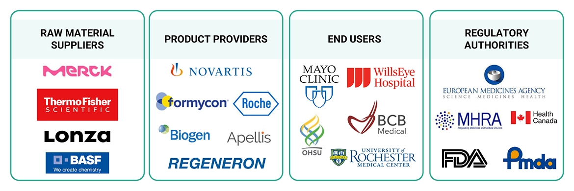 Age-related Macular Degeneration (AMD) Drugs Market Ecosystem