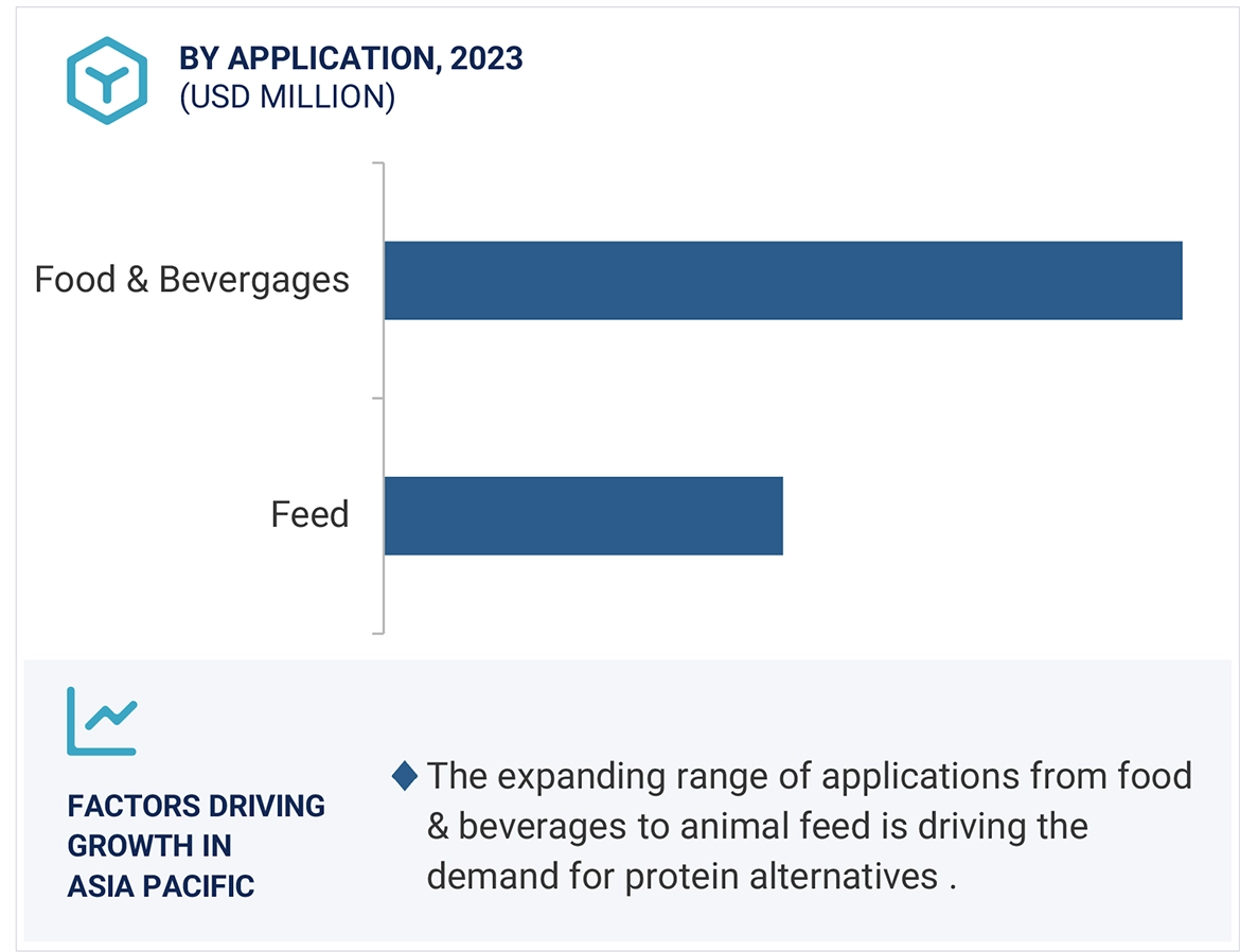 Protein Alternatives Market by Region