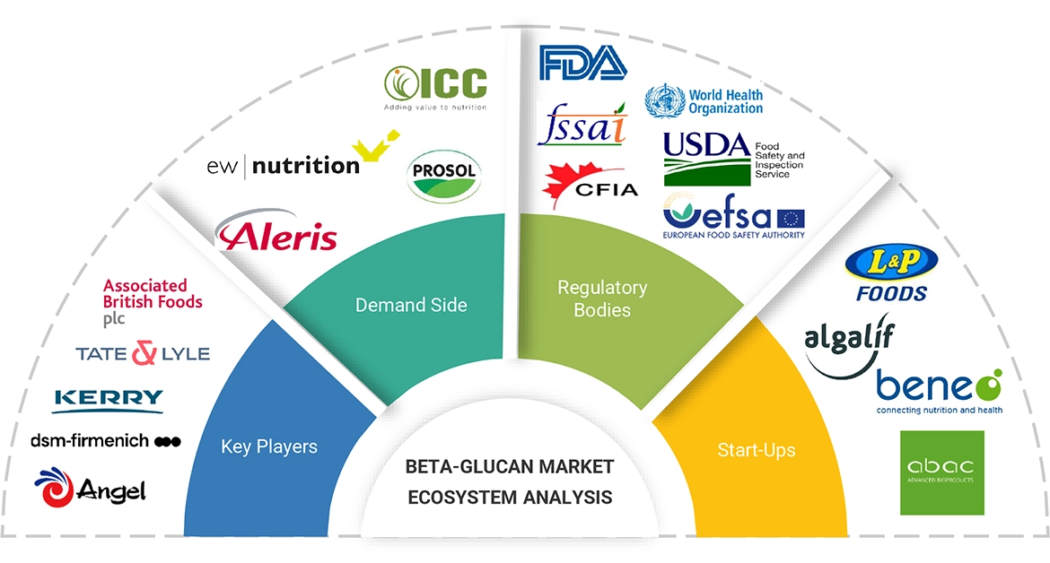 Beta-Glucan Market Ecosystem