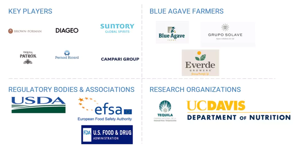 Top Companies in Blue Agave Market 