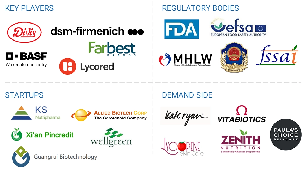 Carotenoids Market Ecosystem