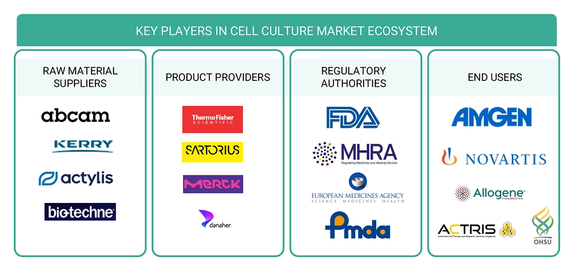 Cell Culture Market Ecosystem