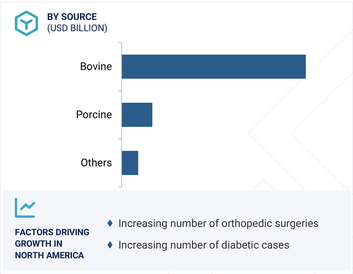 Collagen & Gelatin Market Region