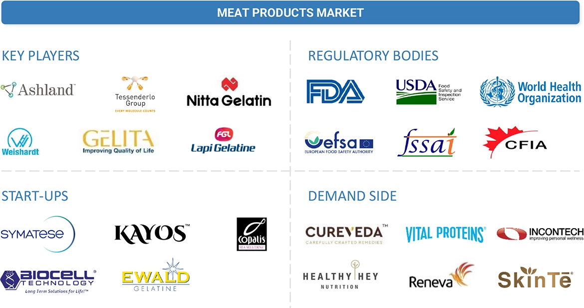 Collagen Market Ecosystem