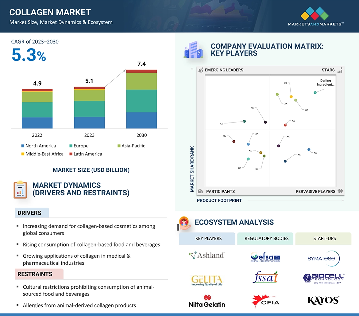 Collagen Market Overview