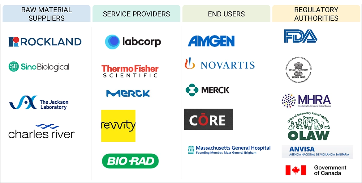 Custom Antibody Market Ecosystem