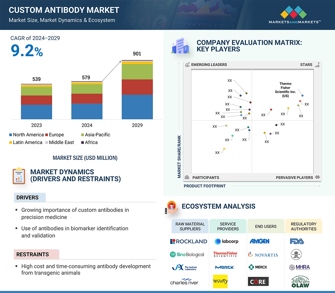 Custom Antibody Market� Global Forecast and Key Opportunities to 2029