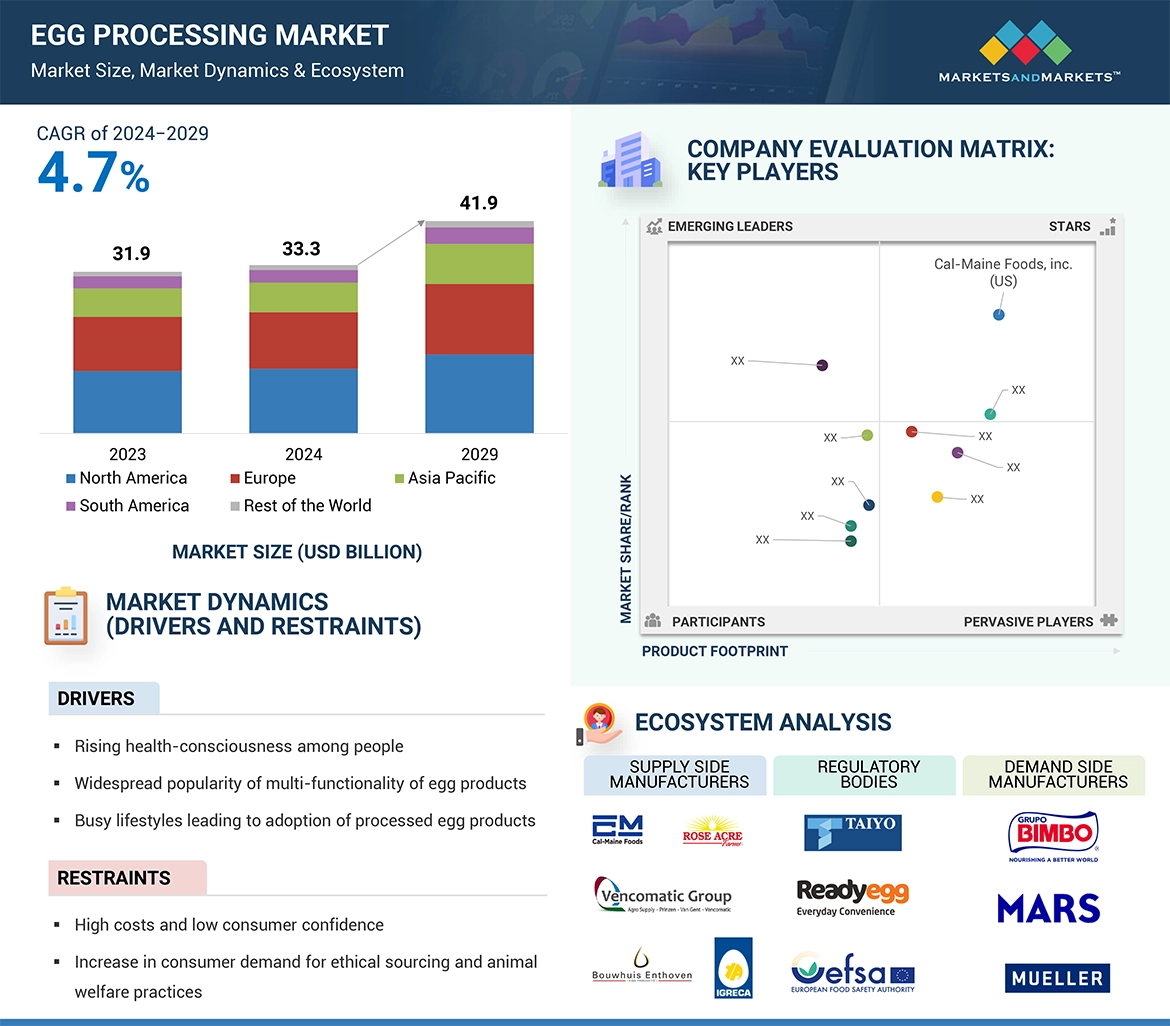 Egg Processing Market Overview