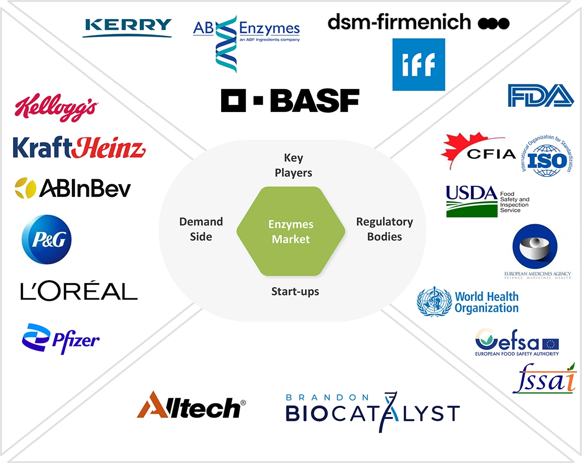 Enzymes Market Ecosystem