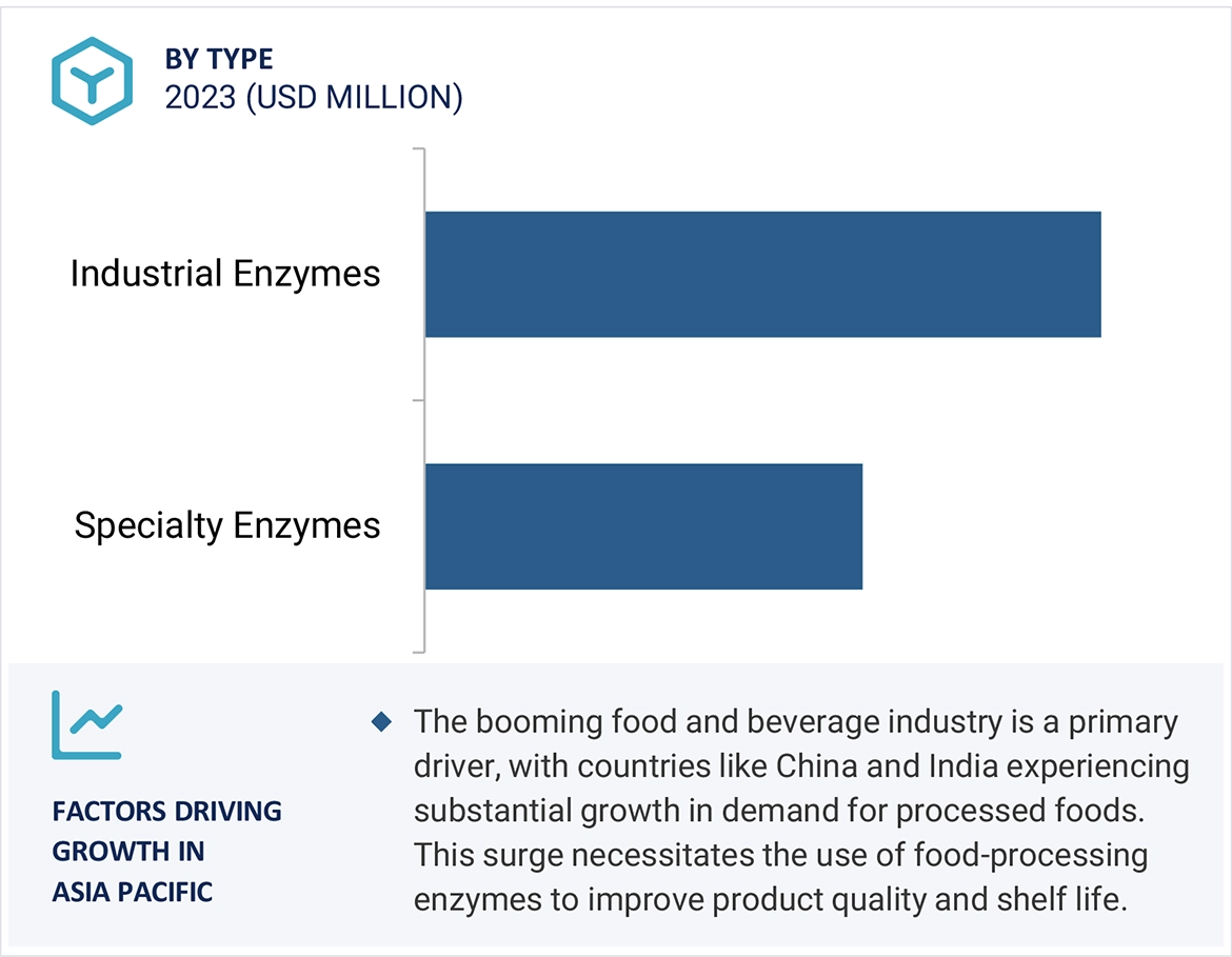 Enzymes Market by Region