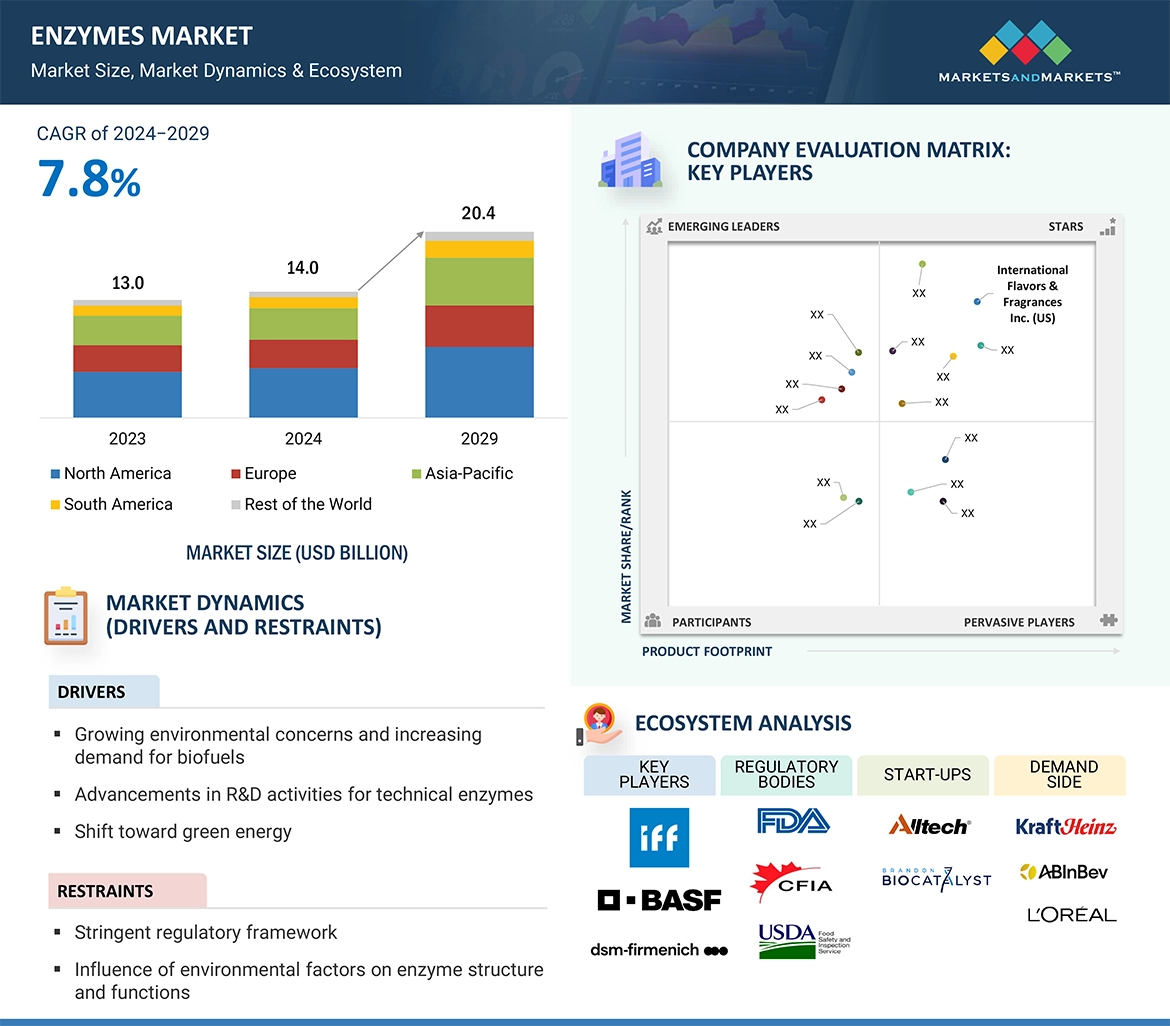 Enzymes Market Overview