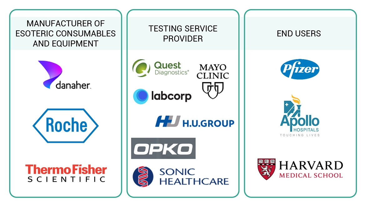 Esoteric Testing Market Ecosystem 