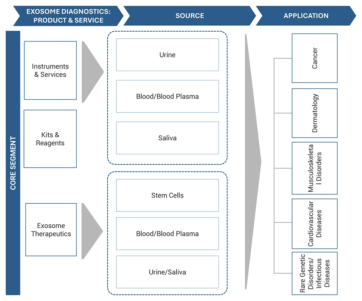 Exosome Diagnostics and Therapeutics Market Ecosystem