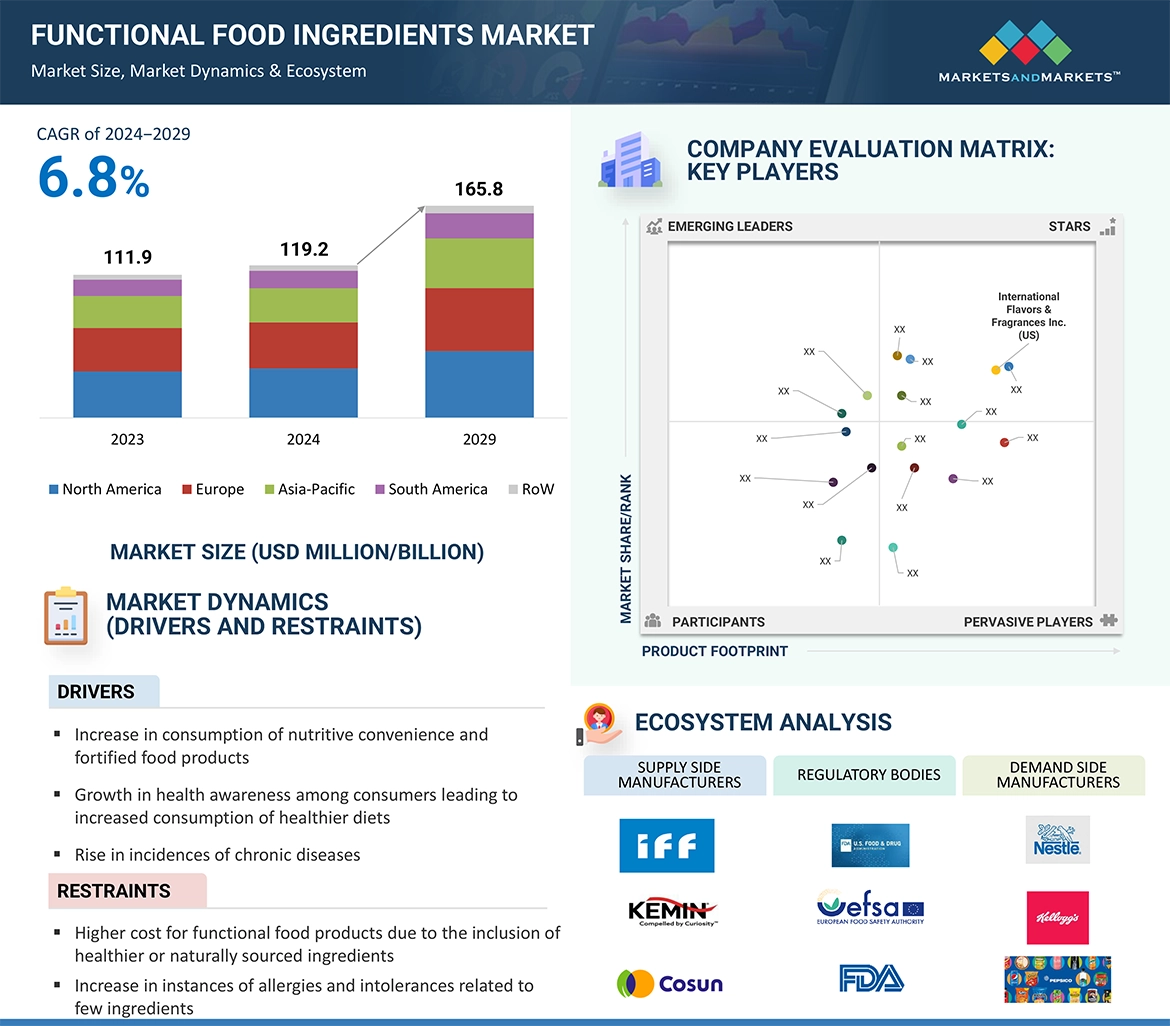 Functional Food Ingredients Market Overview