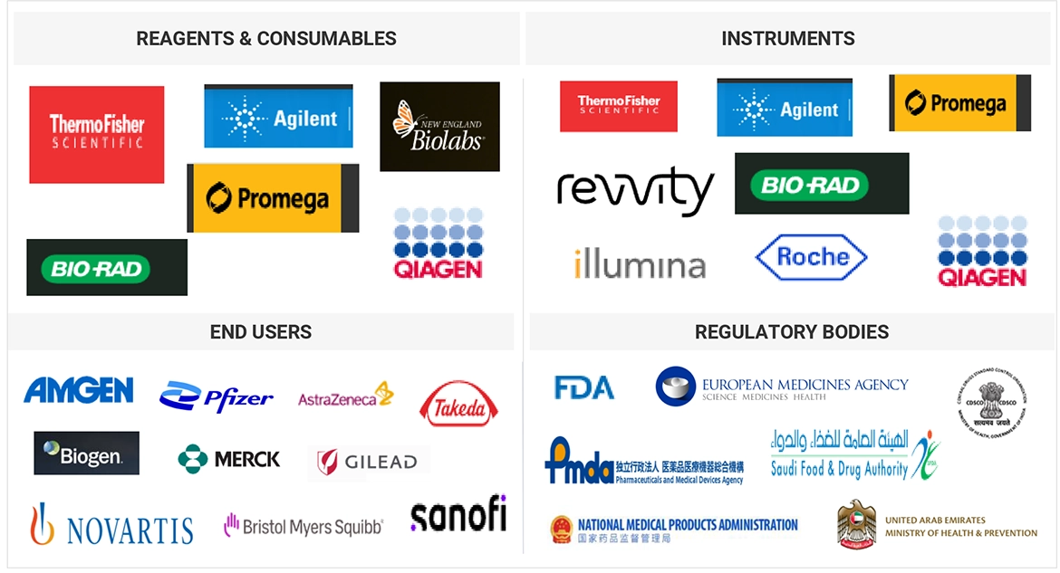 Gene Expression Analysis Market Ecosystem