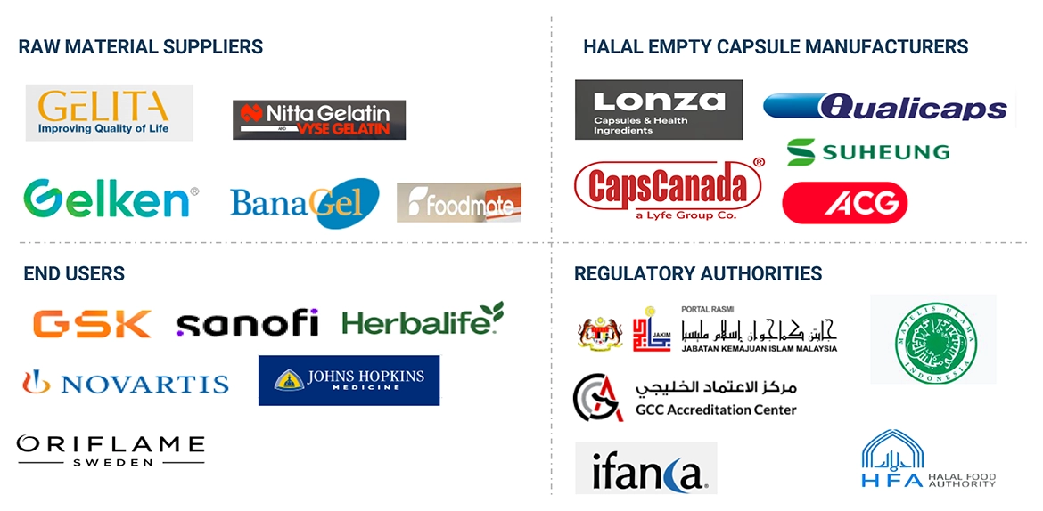 Halal Empty Capsules Market Ecosystem