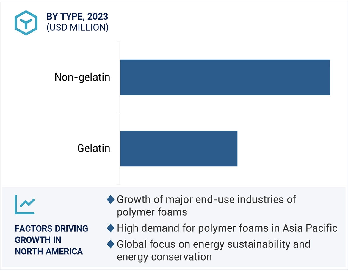 Halal Empty Capsules Market Region