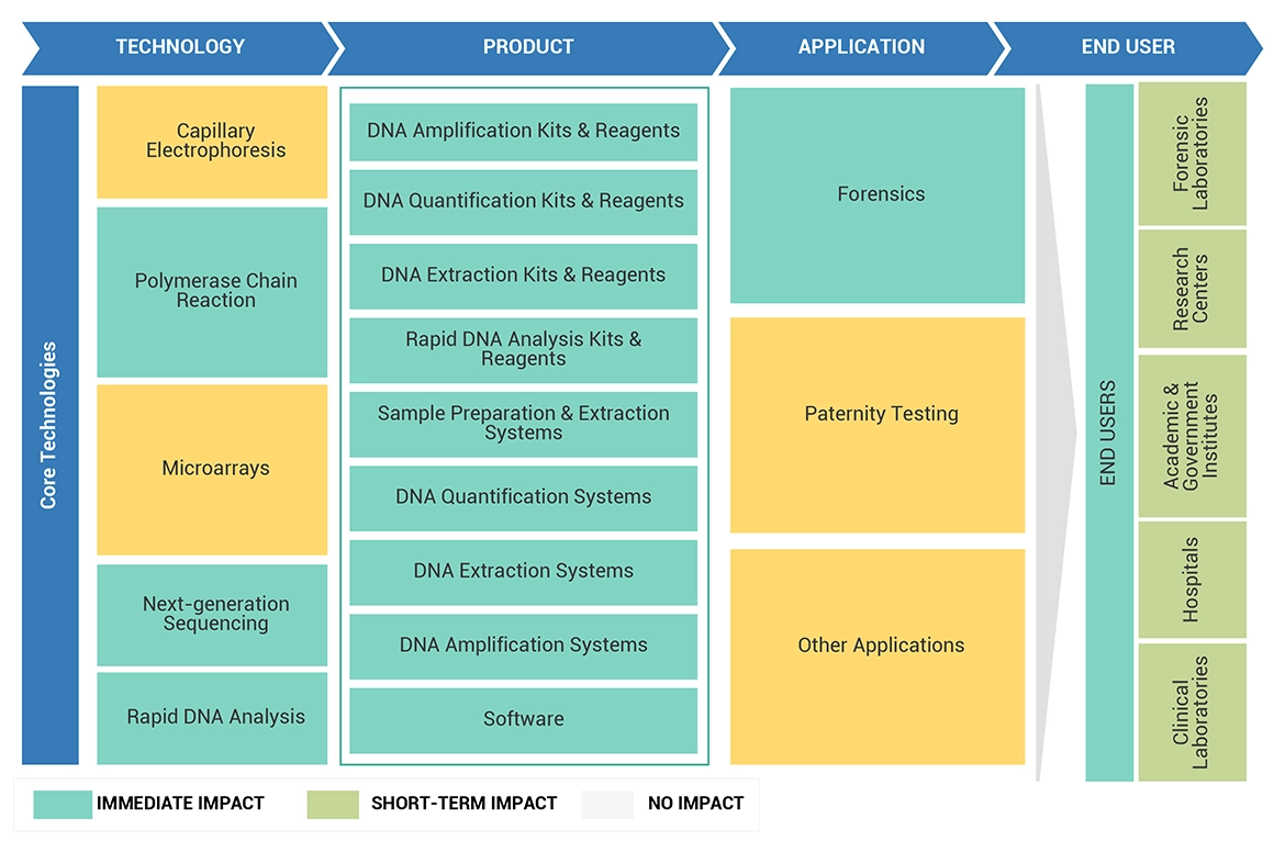 Human Identification Market Ecosystem