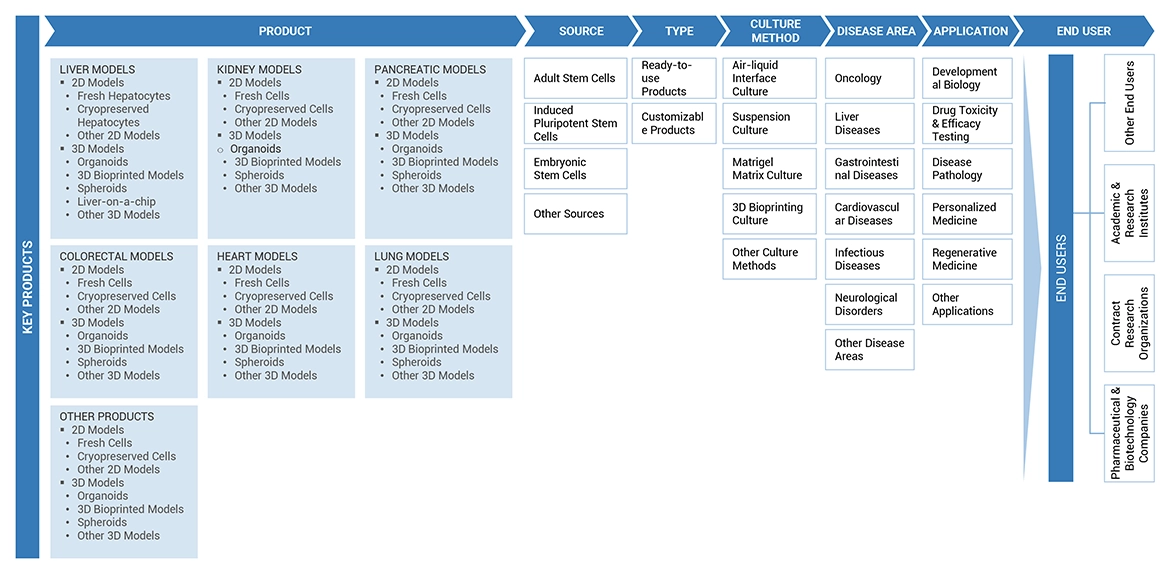 Human Organoids Market Ecosystem