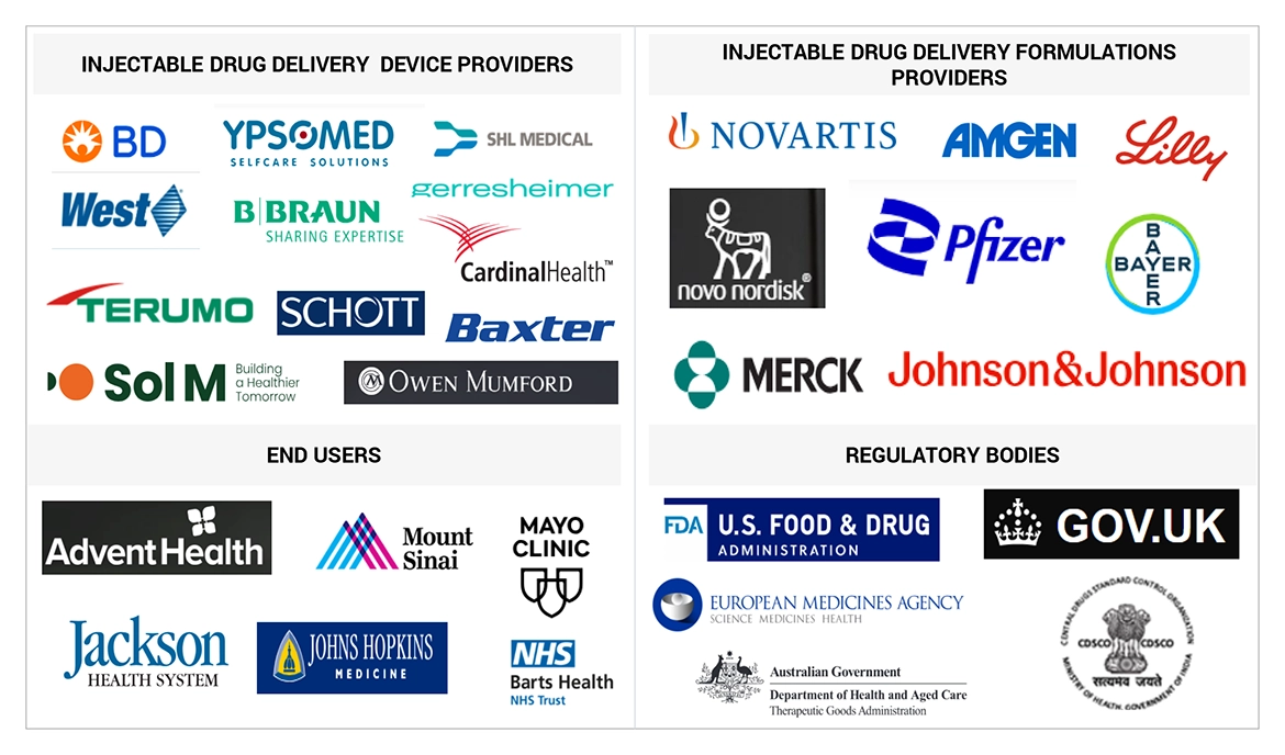 Injectable Drug Delivery Market Ecosystem