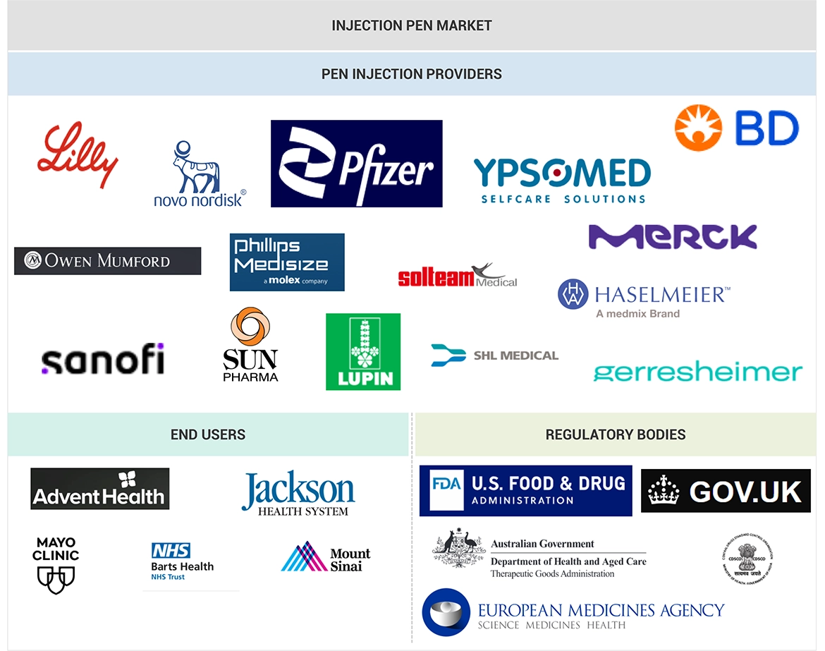 Injection Pen Market Ecosystem