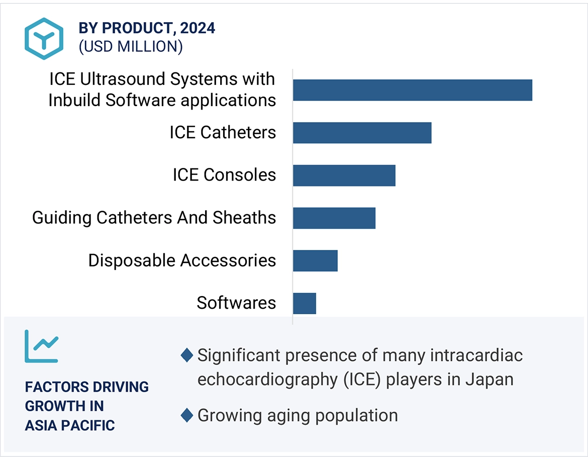 Intracardiac Echocardiography Market Region