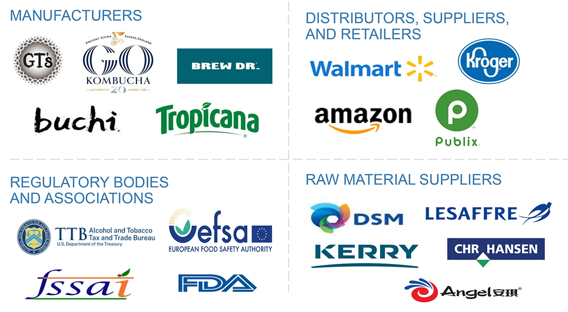 Kombucha Market Ecosystem