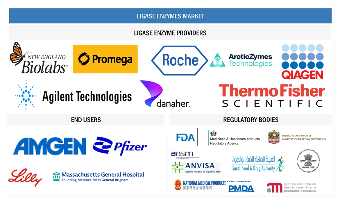 Ligase Enzymes Market