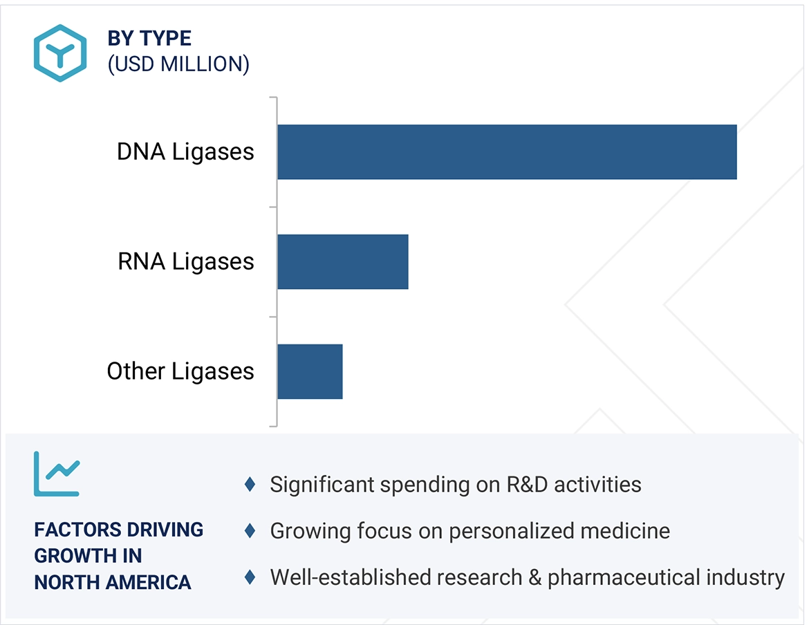 Ligase Enzymes Market
