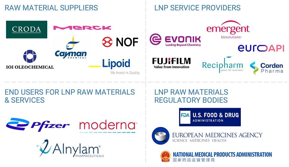 Lipid Nanoparticles Market Ecosystem
