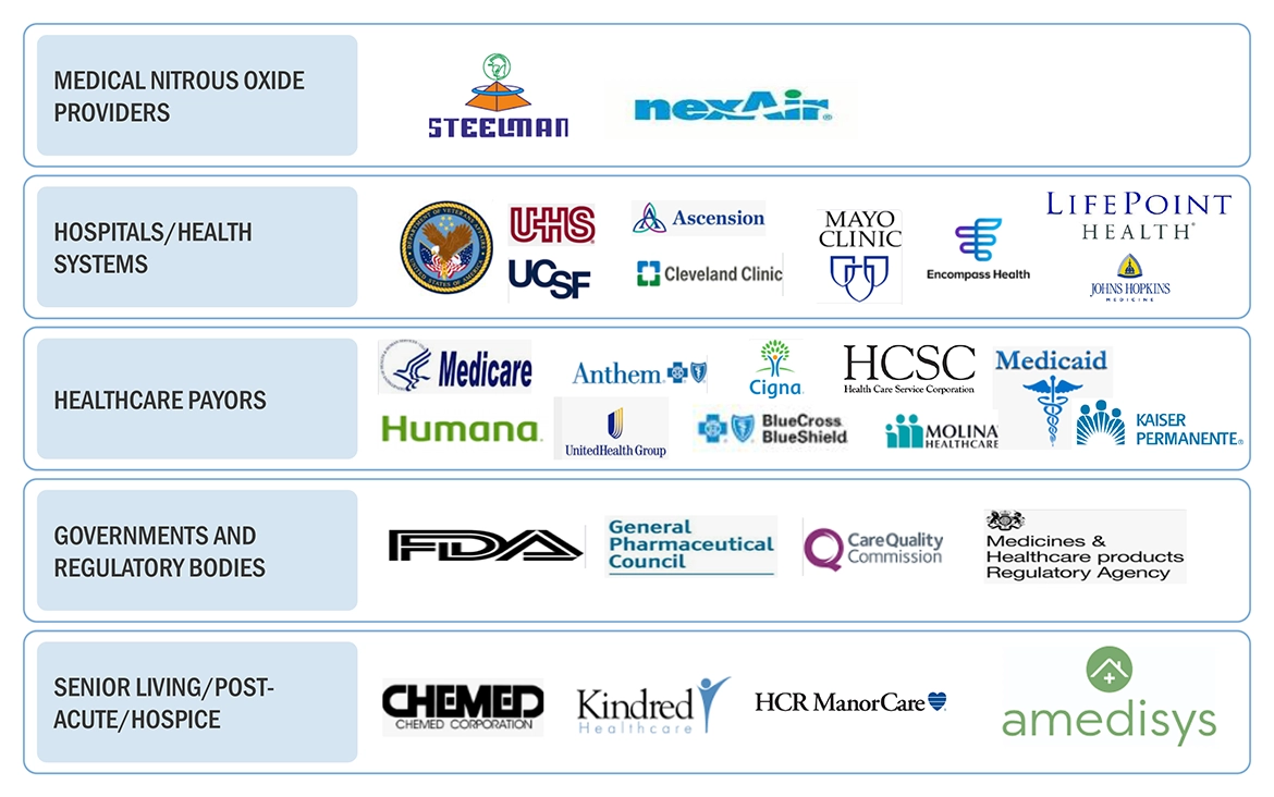 Medical Nitrous Oxide Market Ecosystem