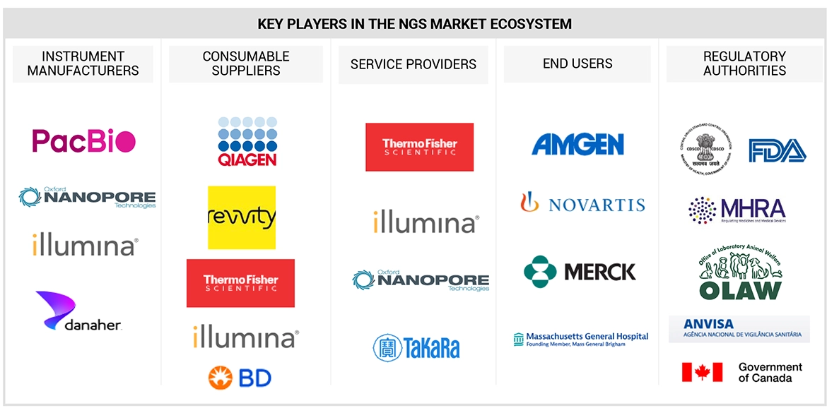 Next-Generation Sequencing Market Ecosystem