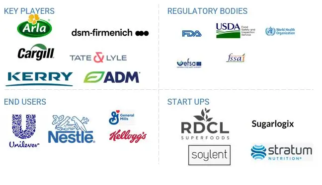 Nutraceutical Ingredient Market Ecosystem