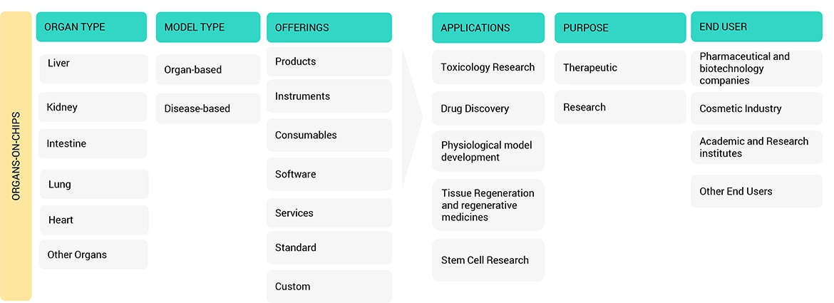 Organ-on-Chip Market Ecosystem