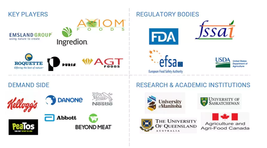 Top Companies in Pea Starch Market 