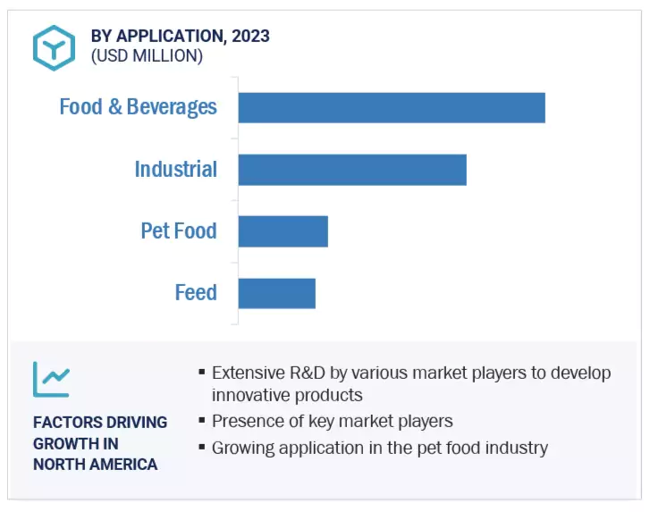 Pea Starch Market Size and Share