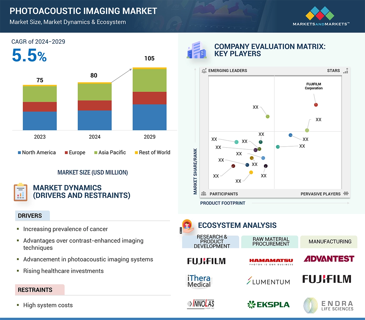 Photoacoustic Imaging Market � Global Forecast and Key Opportunities to 2029