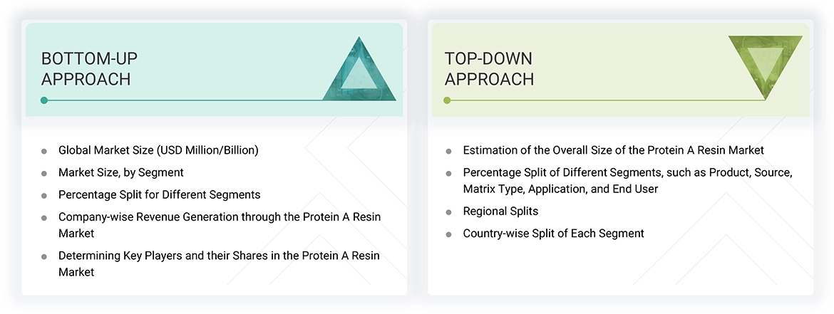 Protein A Resin Market