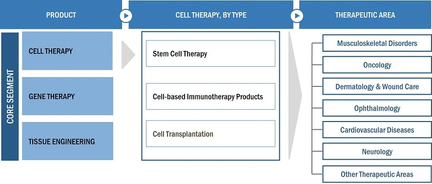 Regenerative Medicine Market Ecosystem