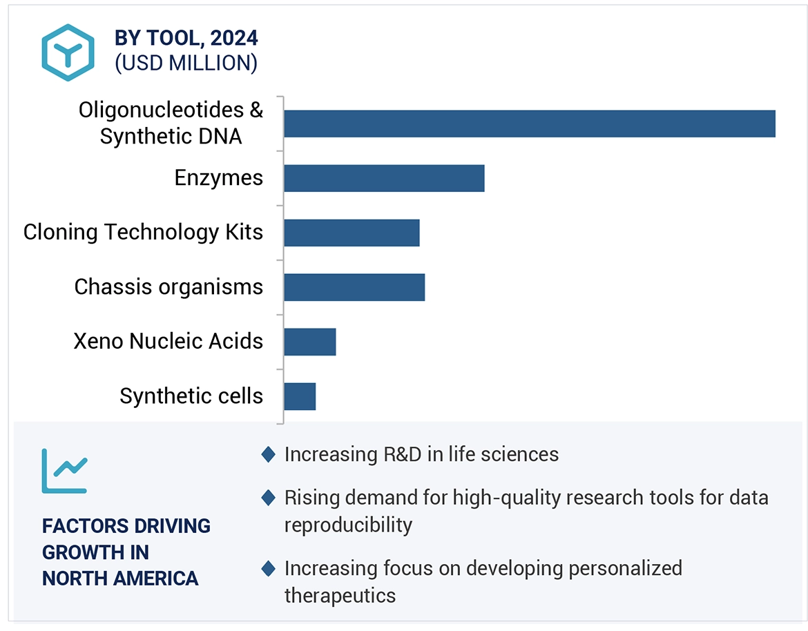 Synthetic Biology Market Region