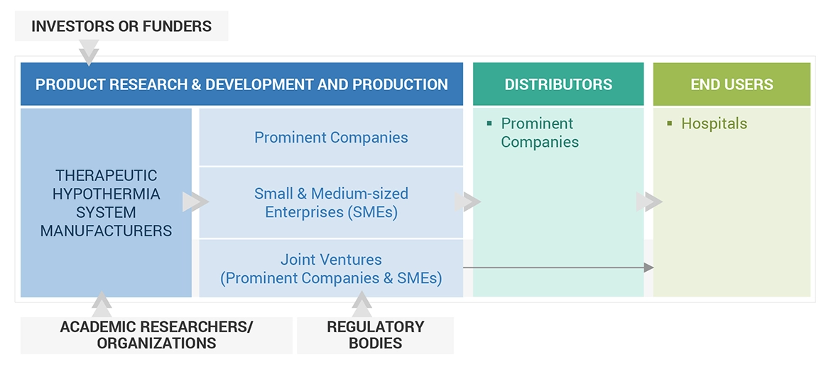 Therapeutic Hypothermia Systems Market Ecosystem