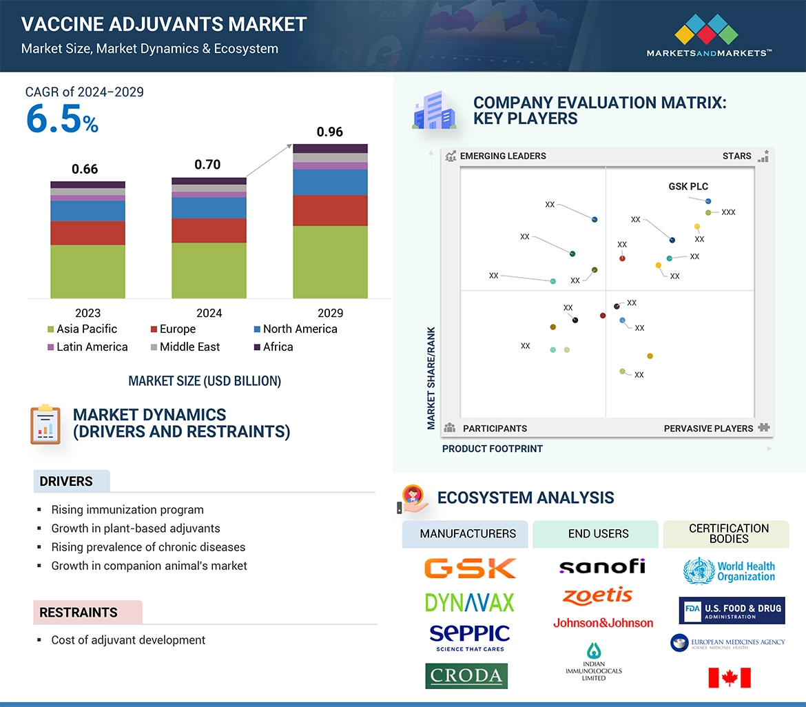 Vaccine Adjuvants Market� Global Forecast and Key Opportunities to 2029